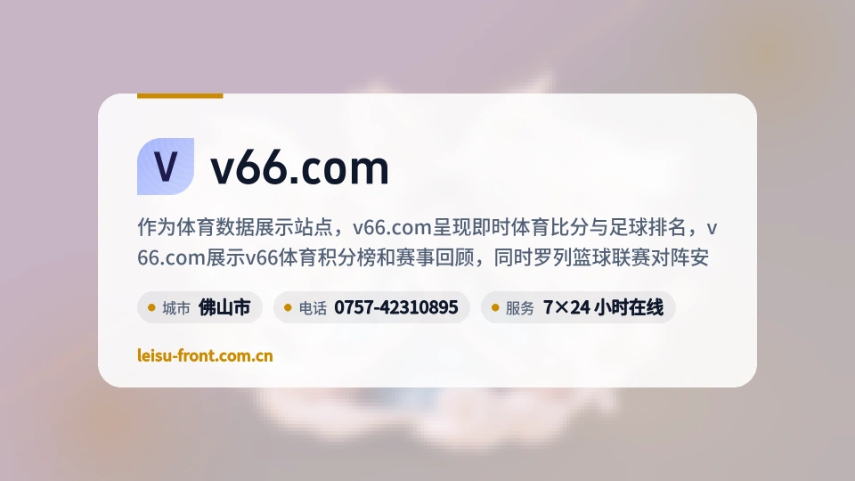 v66.com印象
